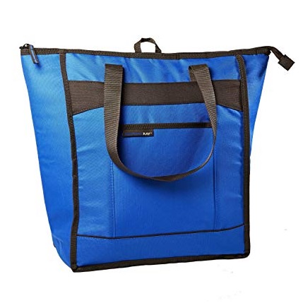 Best Insulated Cooler Bag